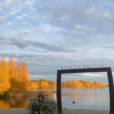 Lakevew House Kangasniemi